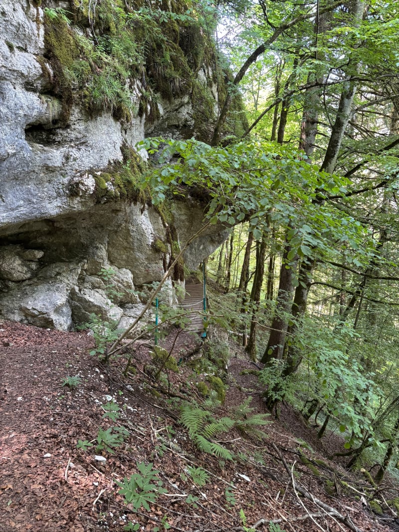 Balade autour de Grand'Combe-Châteleu - Grand'Combe-Châteleu