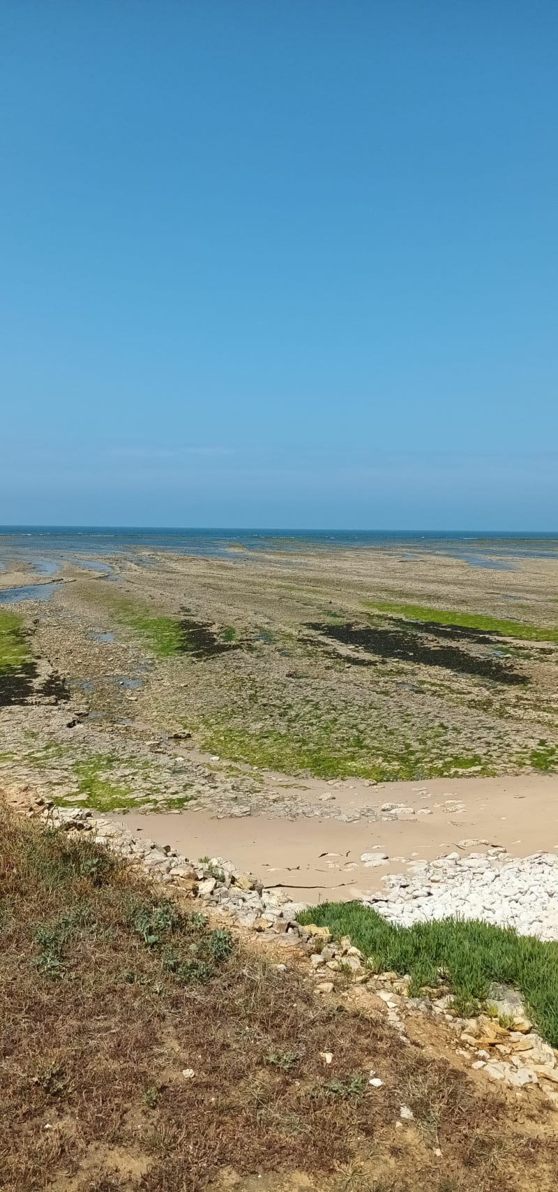 Boucle à Saint Denis d'Oléron - Saint-Denis-d'Oléron