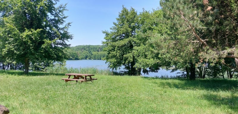 Les étangs de Flavigny - Flavigny-sur-Moselle