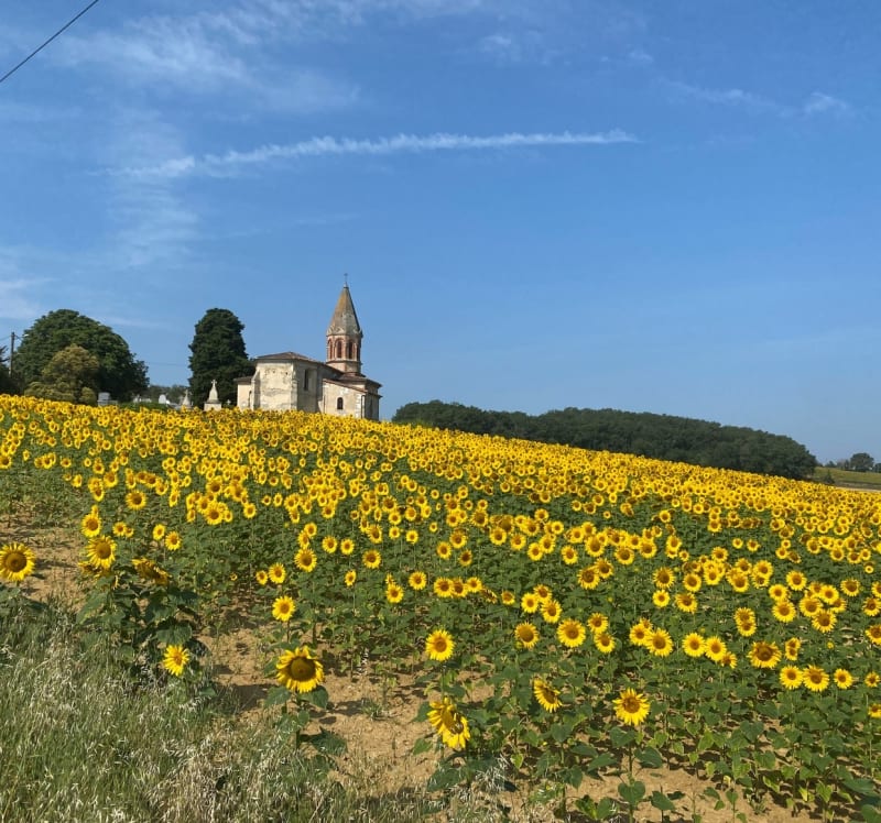 Petite balade autour de Lavaur - Lavaur