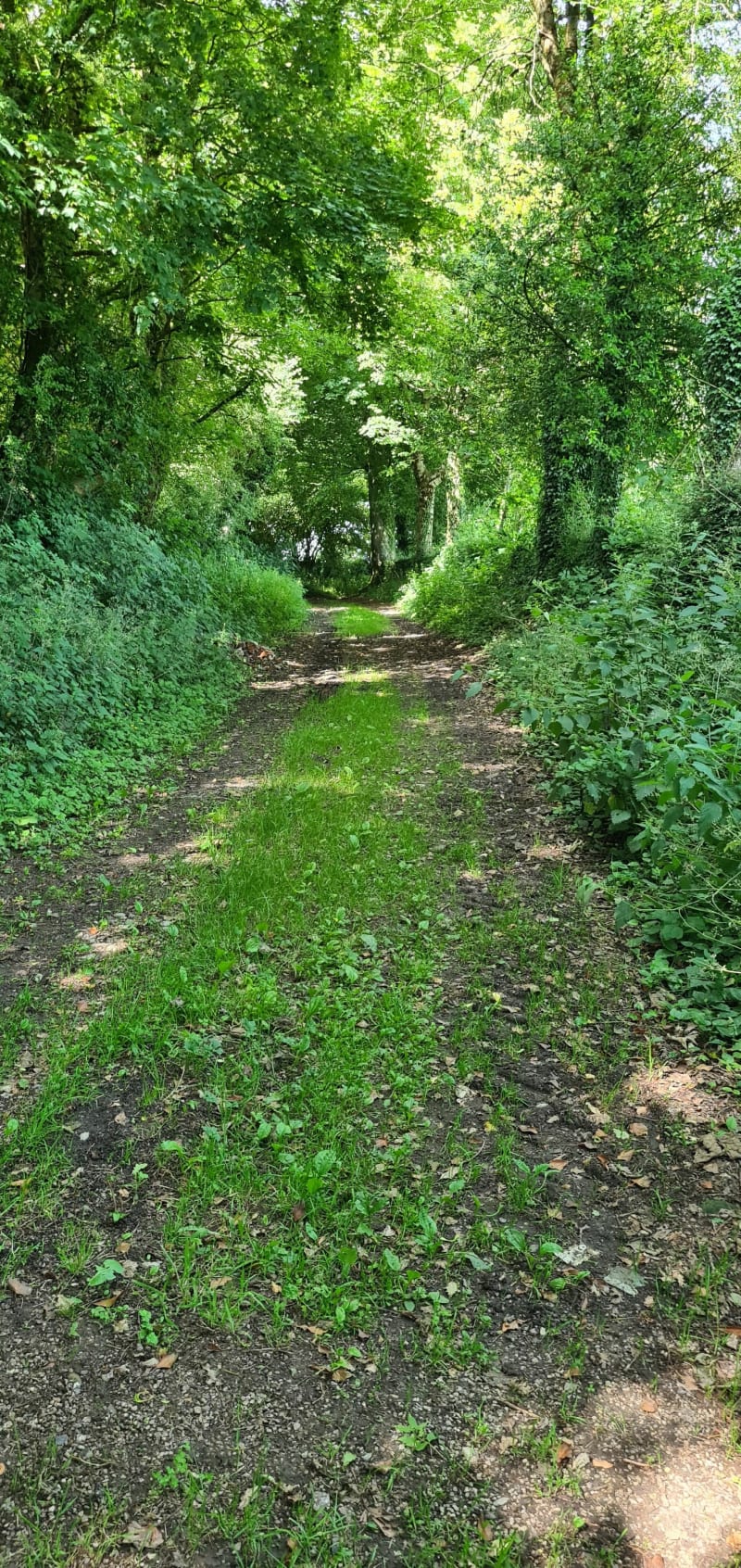 Petite boucle tranquille sur Neuf Manoir, Ledimghem - Ledinghem