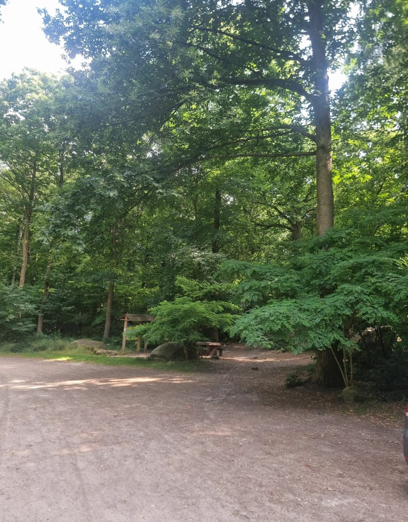Promenade rocher du duc - Champcueil