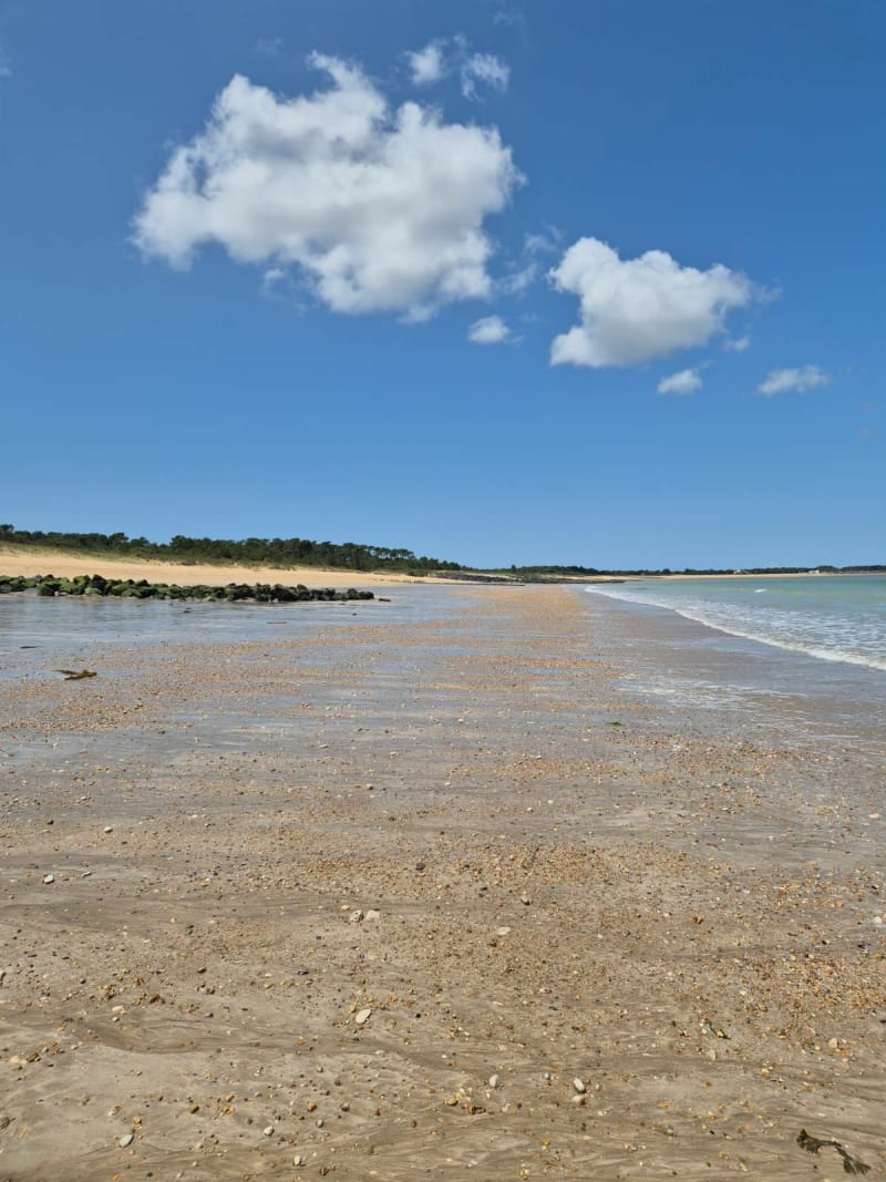 Balade à la plage de Foulerot - Saint-Georges-d'Oléron