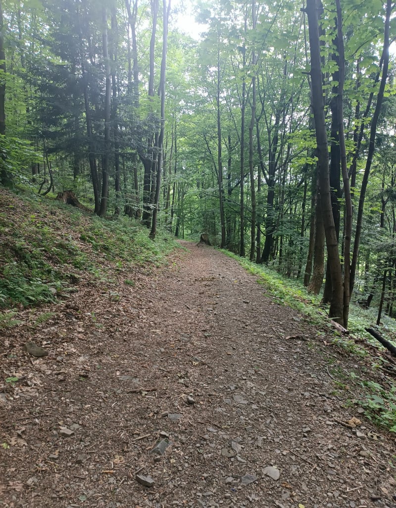 Widokówka - Bielsko-Biała