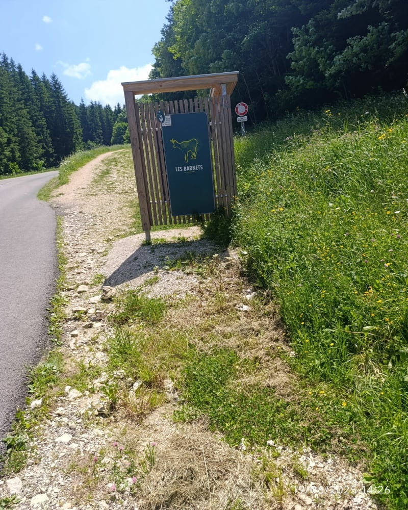 Plateau des Allières à Lans-en-Vercors - Lans-en-Vercors