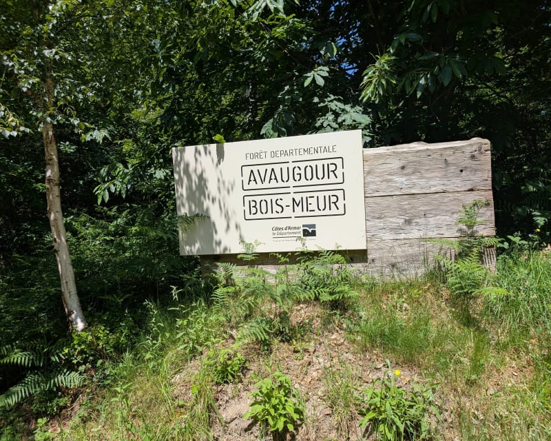 Boucle au bois d'Avaugour - Lanrodec