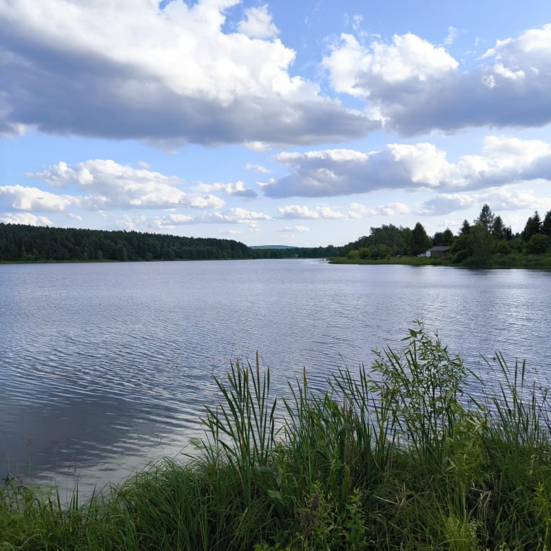 Suchedniów, Mostki, zalew - Mostki