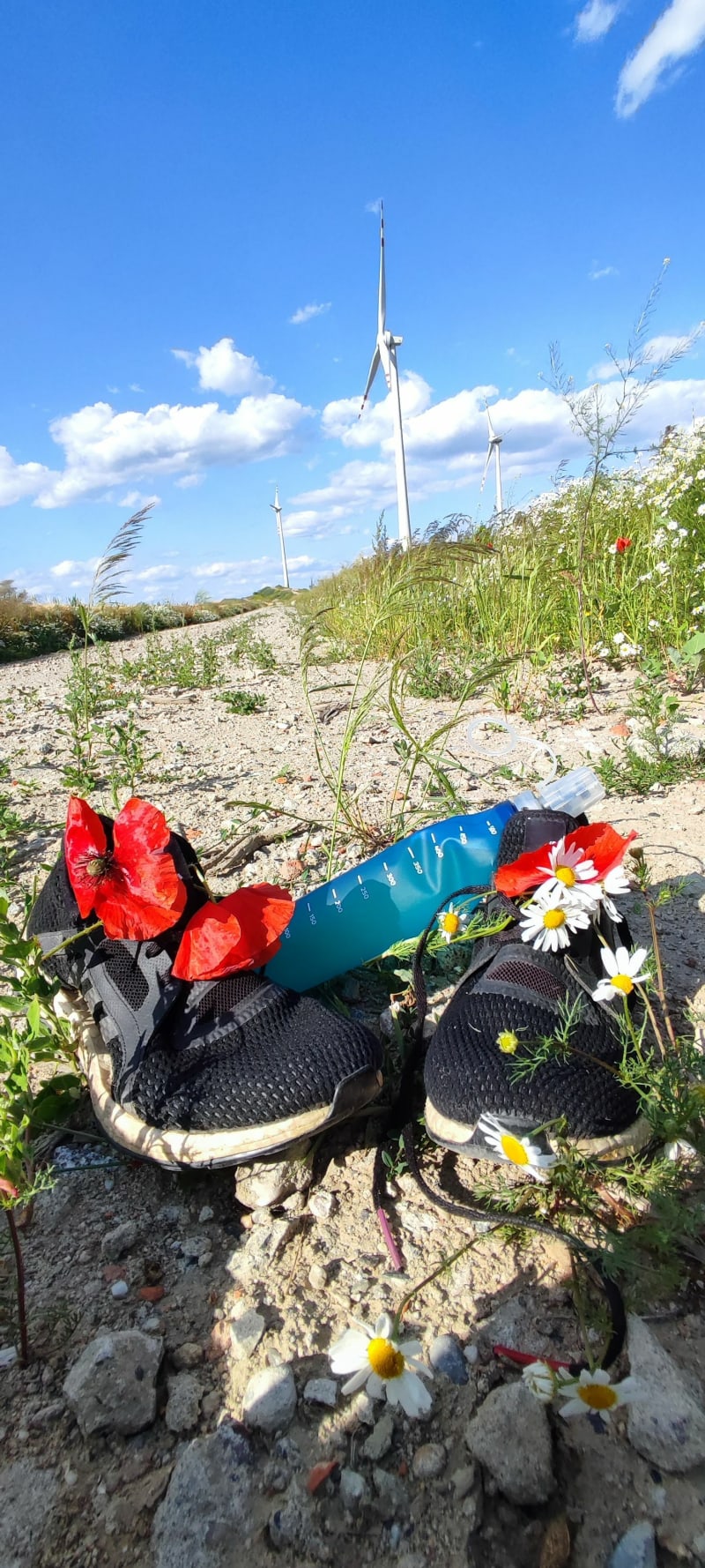Jogging/spacer w czystym powietrzu - Oława