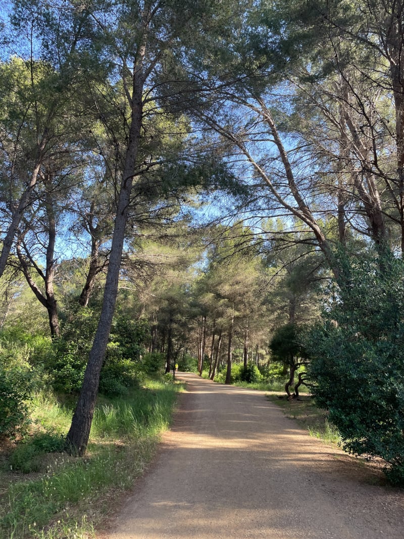 La Seyne sur mer - La Seyne-sur-Mer