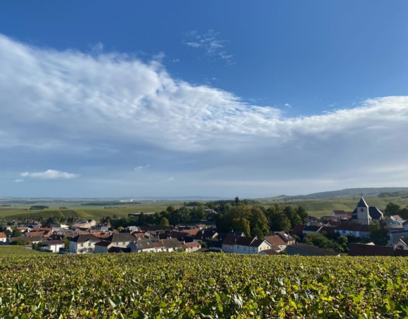 Tour des maisons de champagne casse pattes - Reims