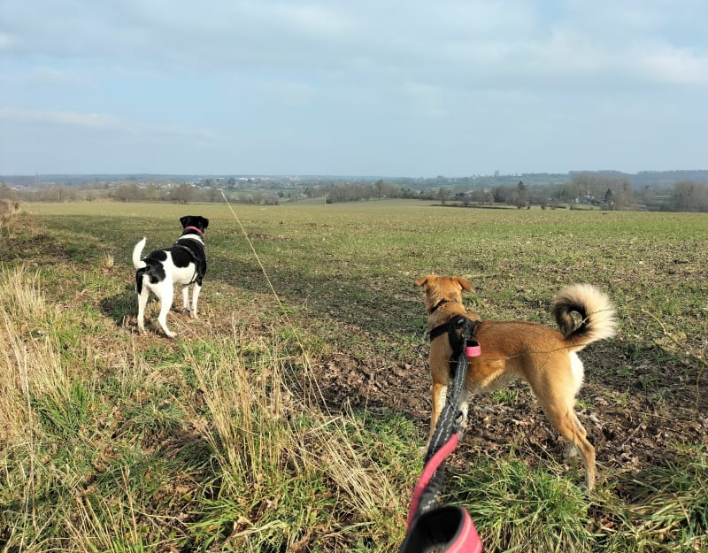 Village et bocage pien - Wignehies