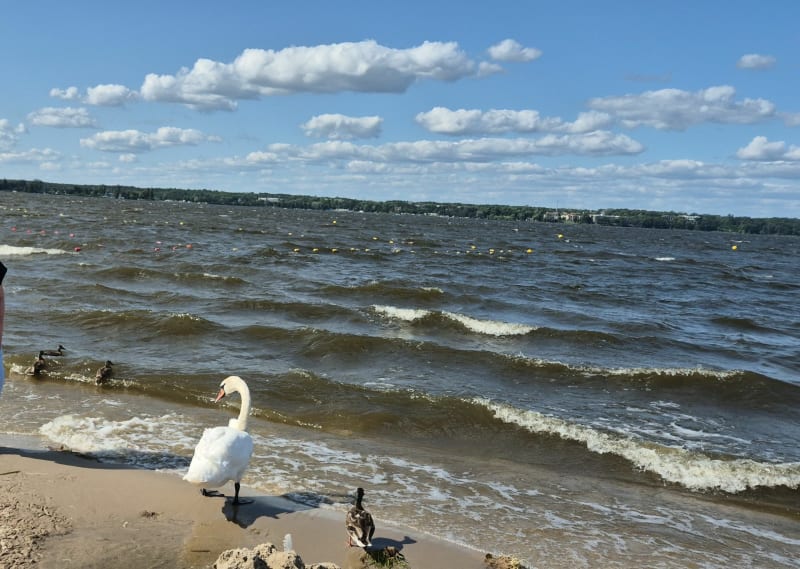 Legionowo, Nieporęt, Zegrze, Wieliszew. - Legionowo