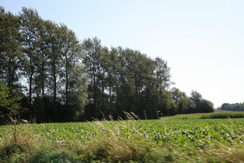 Circuit dans la campagne au Nord de Lille - Wasquehal