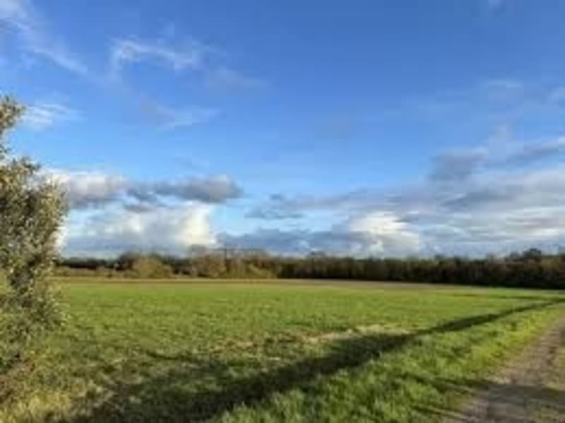 Balade autour de planète sauvage - Sainte-Pazanne
