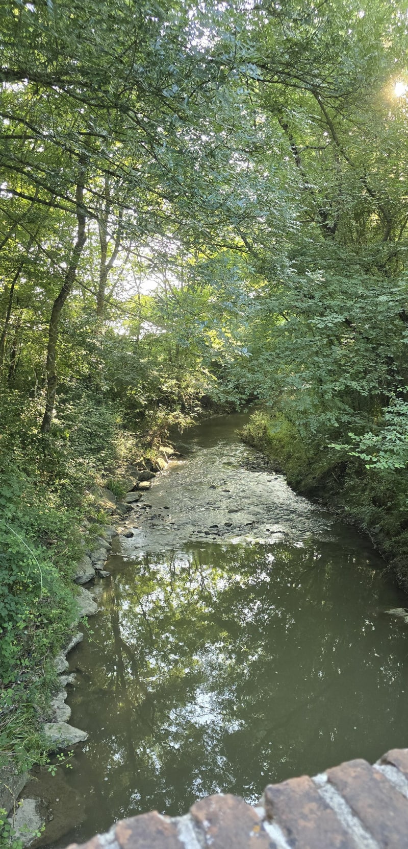 Balade à partir du chemin saint jean - Colomiers