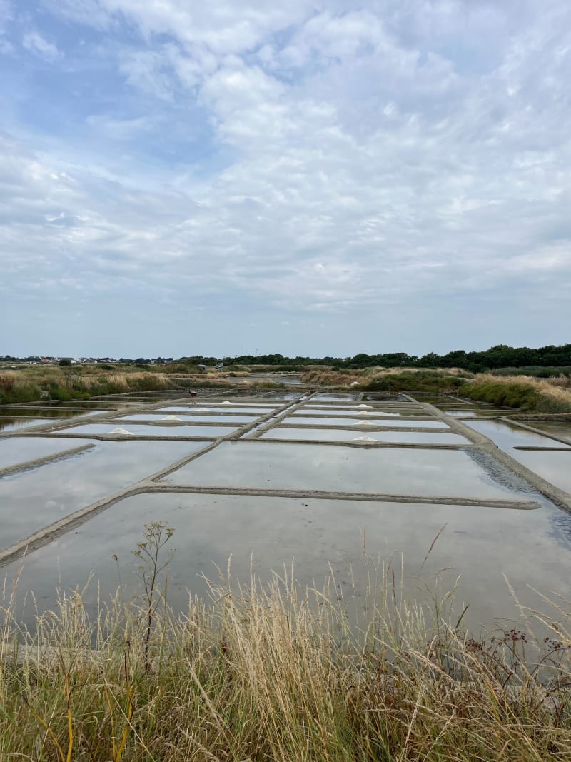 Tour presqu’île de Piriac - Piriac-sur-Mer