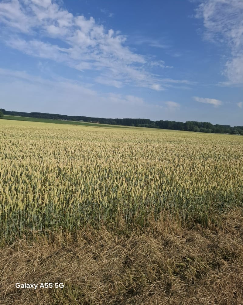 Rando autour de Rebecques - Saint-Augustin