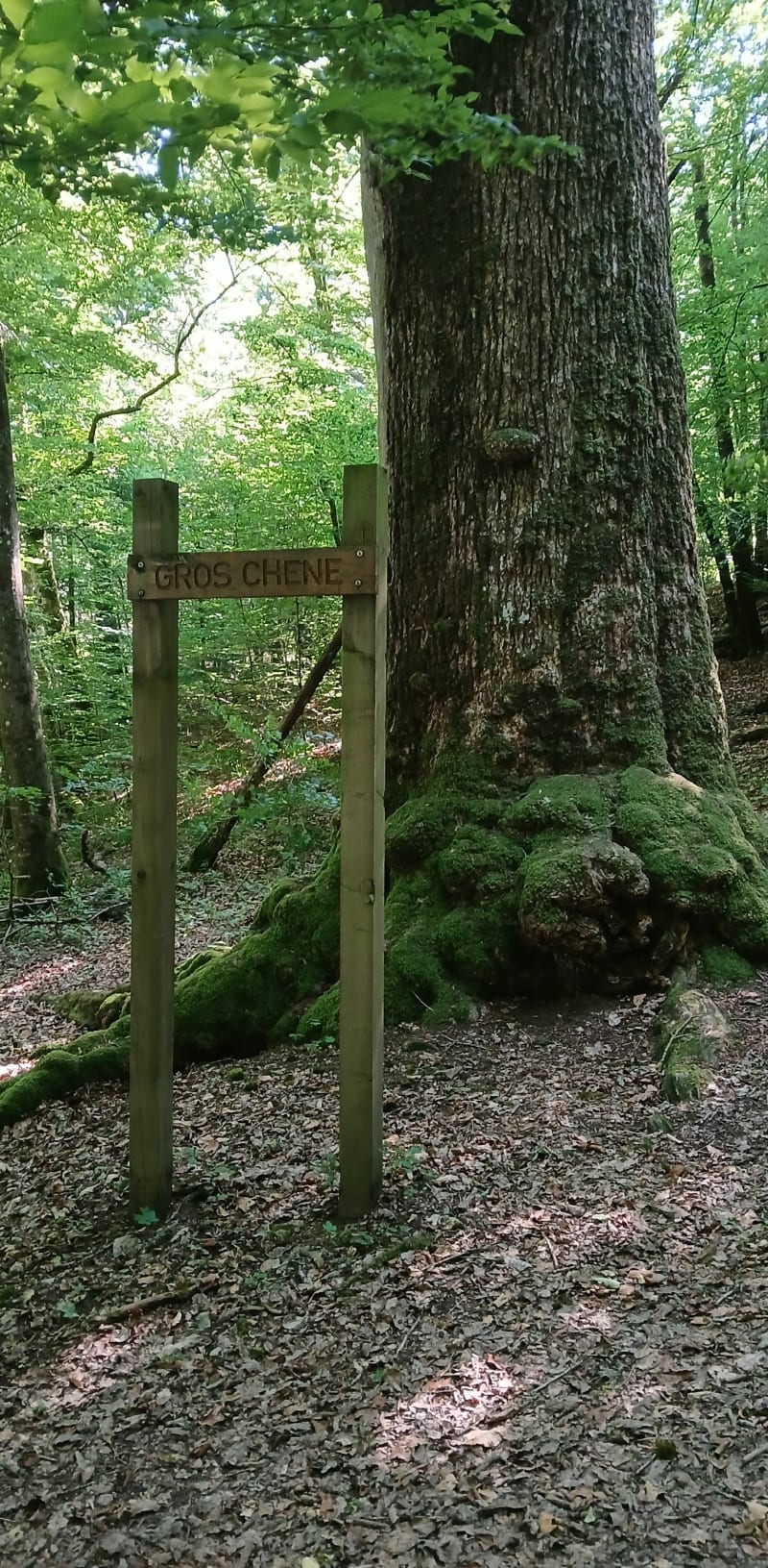 Balade au départ d'Escombres-et-le-Chesnois - Escombres-et-le-Chesnois