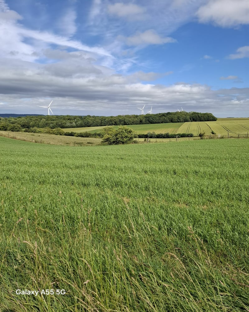 Rando de Cuvigny - Rebreuve-Ranchicourt