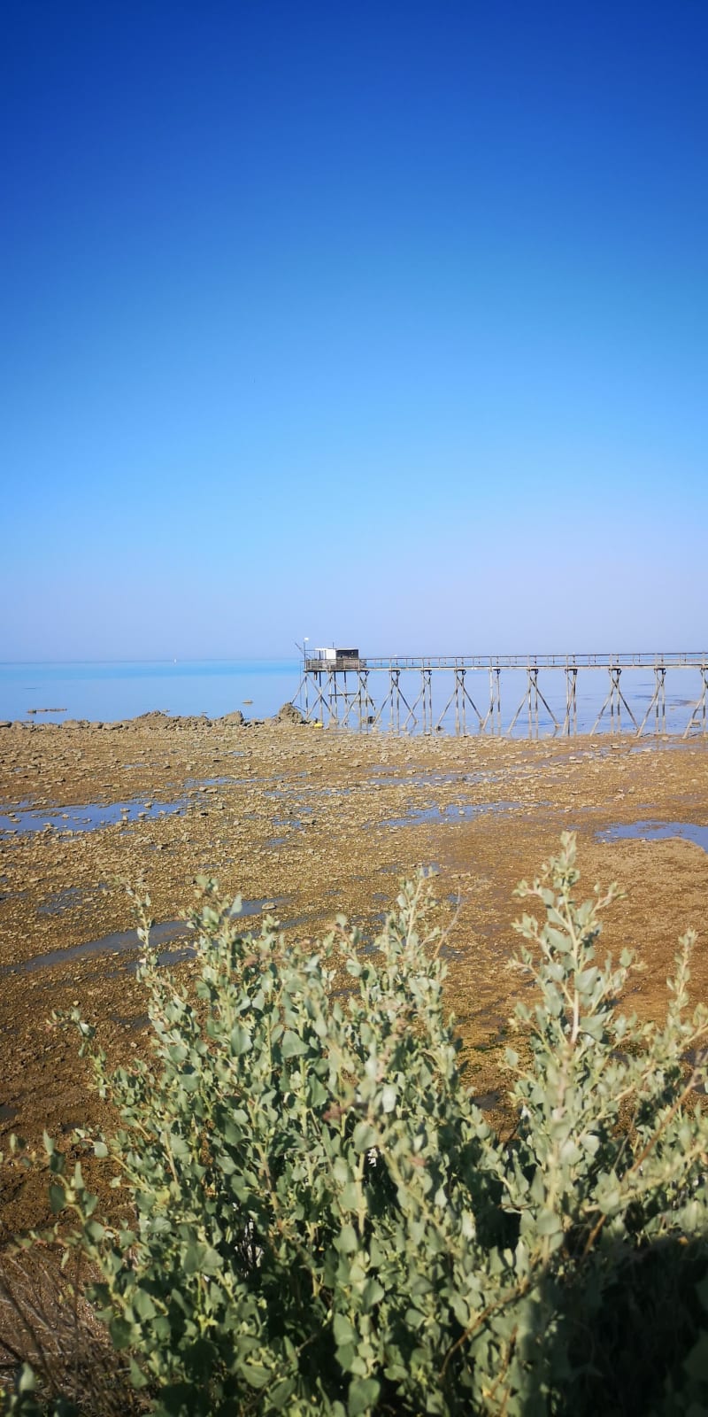 Boucle au départ de Salles-sur-Mer - Salles-sur-Mer