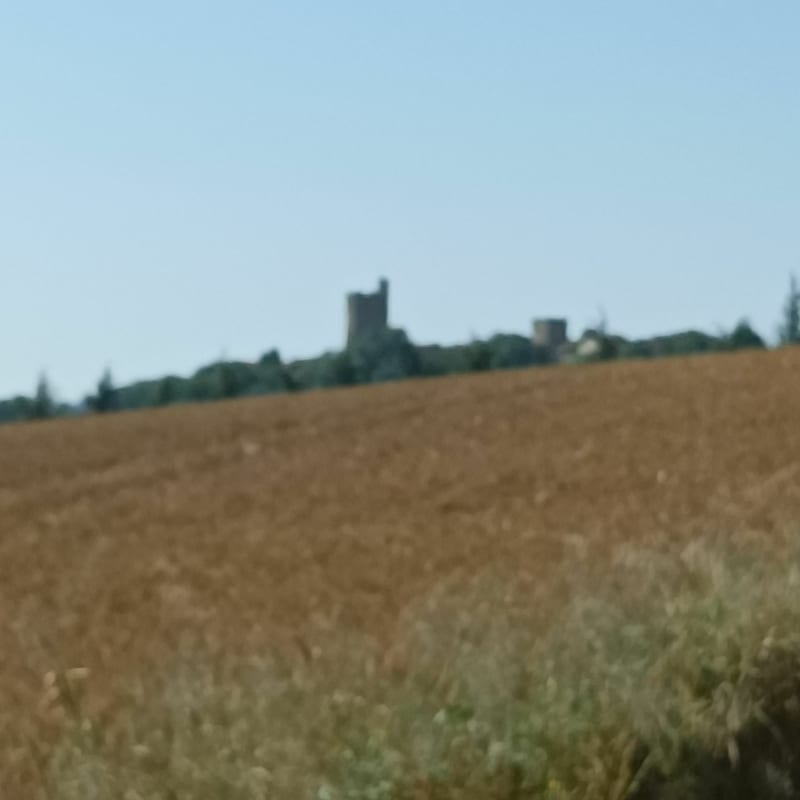 Balade autour de Montpeyroux - Montpeyroux