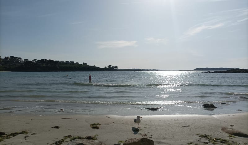 Bord de mer et chemins creux, de Trevou-Treguignec à Perros - Trévou-Tréguignec