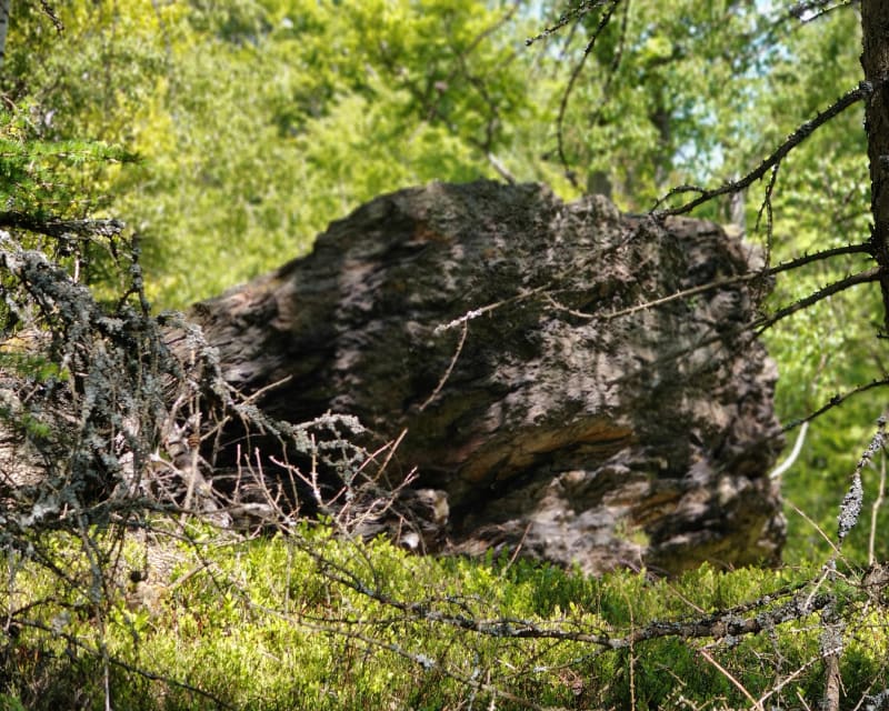Czerniawska kopa - Świeradów-Zdrój