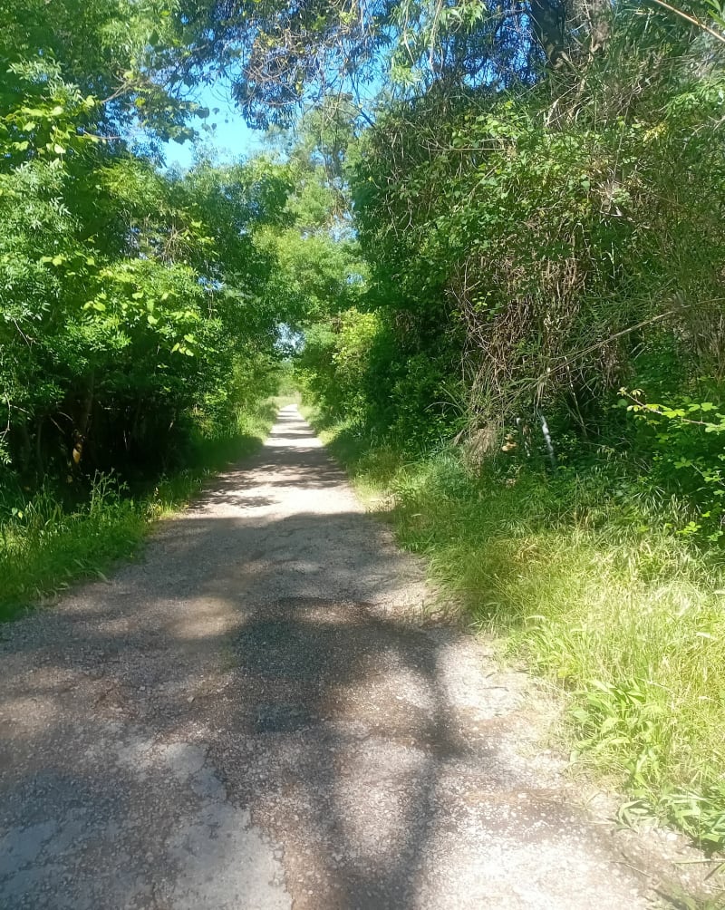 Du Terral à la Mosson - Saint-Jean-de-Védas