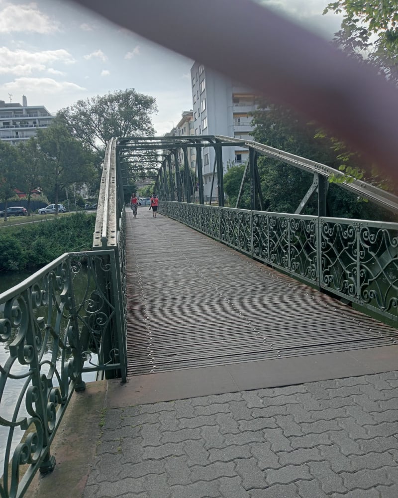Boucle entre Robertsau et centre ville - Strasbourg