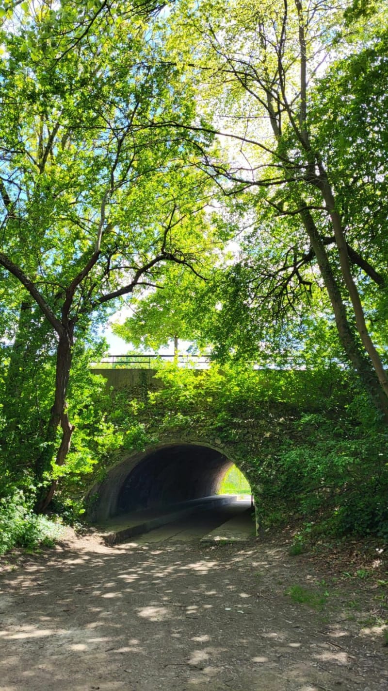 Les étangs de Vaires à Lognes - Vaires-sur-Marne