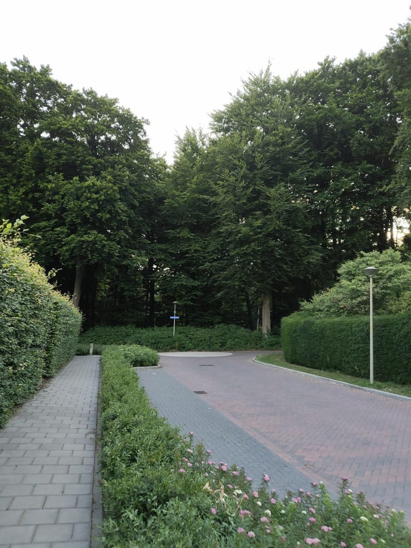 Rondje door het Groesbeekse bos - Groesbeek