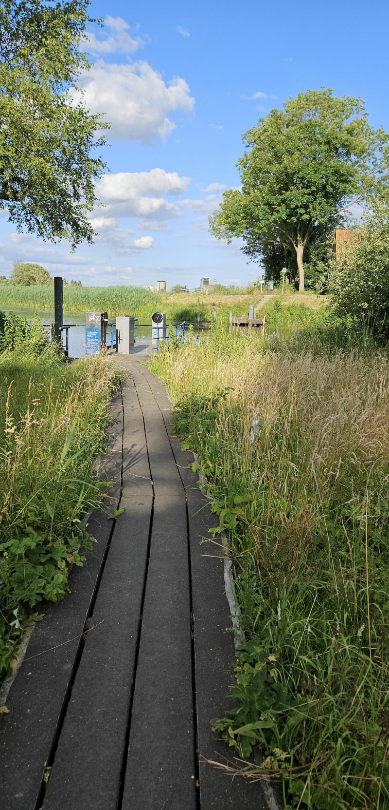 Ronde Bossche Broek en centrum - 's-Hertogenbosch
