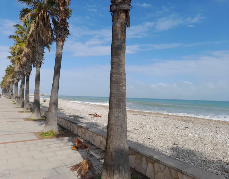 Las Cases d'Alcanar - Les Cases d'Alcanar