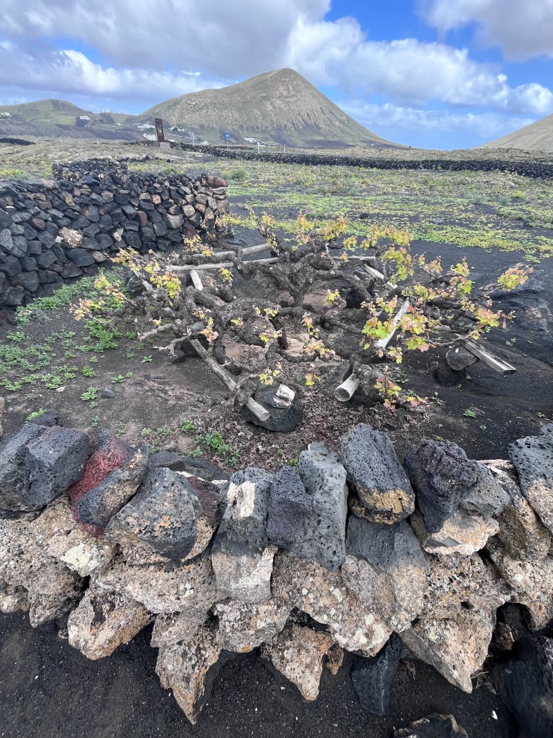 Las salinas de Lanzarote