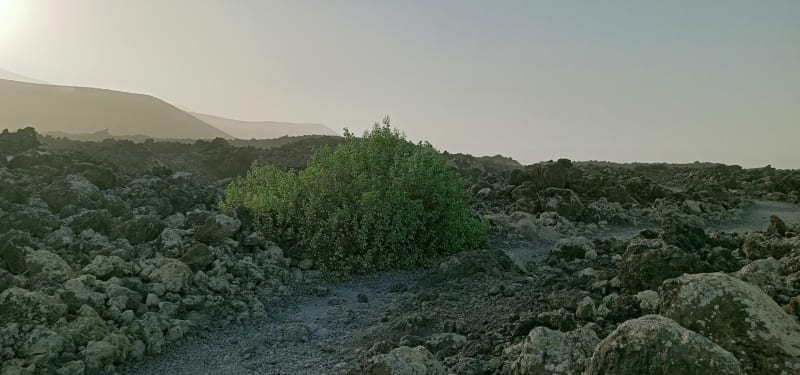 Caldera Blanca et le sommet des volcans - Mancha Blanca