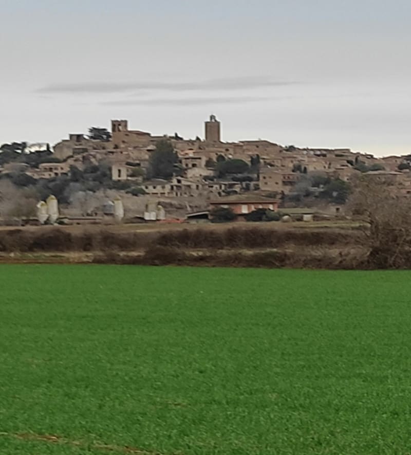 Balade au pays des villages médiévaux catalans, Pals et Sant Feliu de Boada - Pals