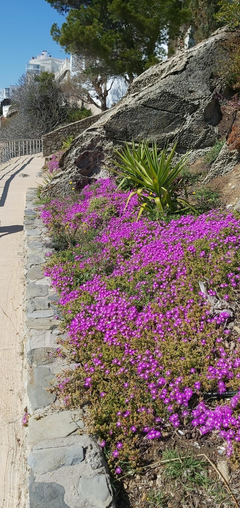 Chemin de Ronde par Canyelles Grosses - Roses
