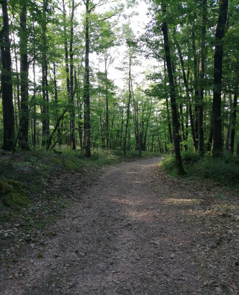 Les 3 villages depuis Sainte-Agathe-en-Donzy - Sainte-Agathe-en-Donzy
