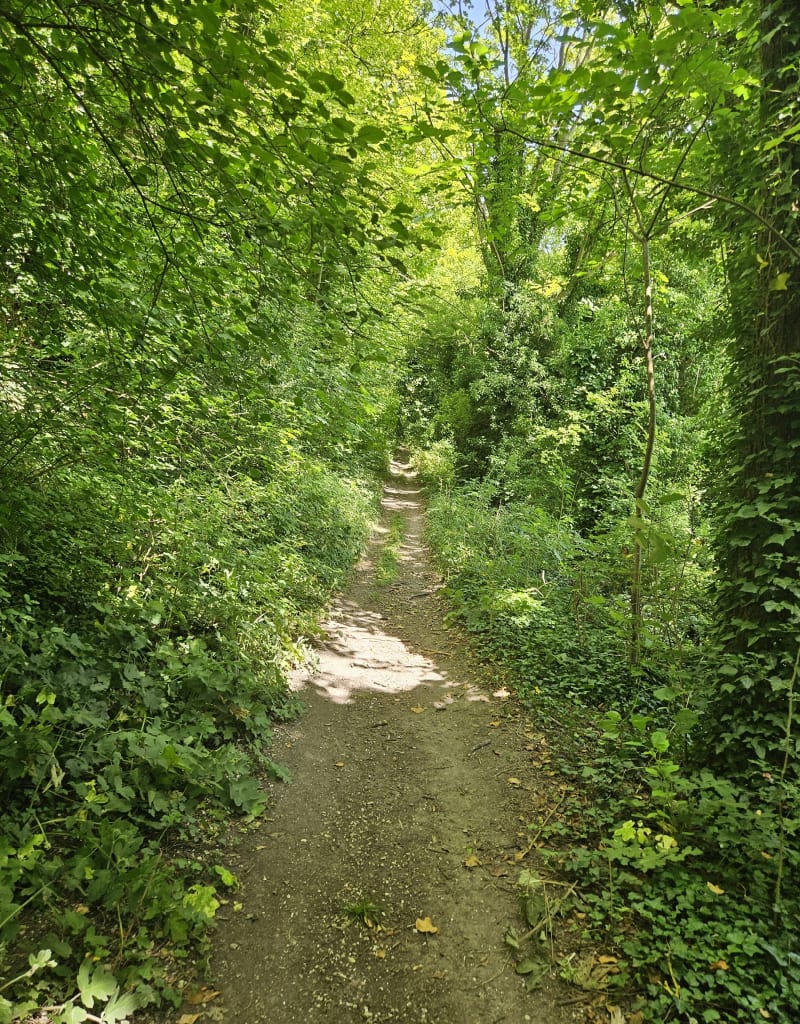 Darnetal : Tour de la Grand’Mare - Darnétal