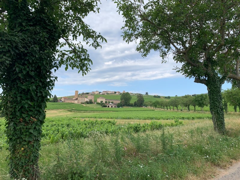 Boucle entre les Saint-Étienne - Saint-Étienne-des-Oullières