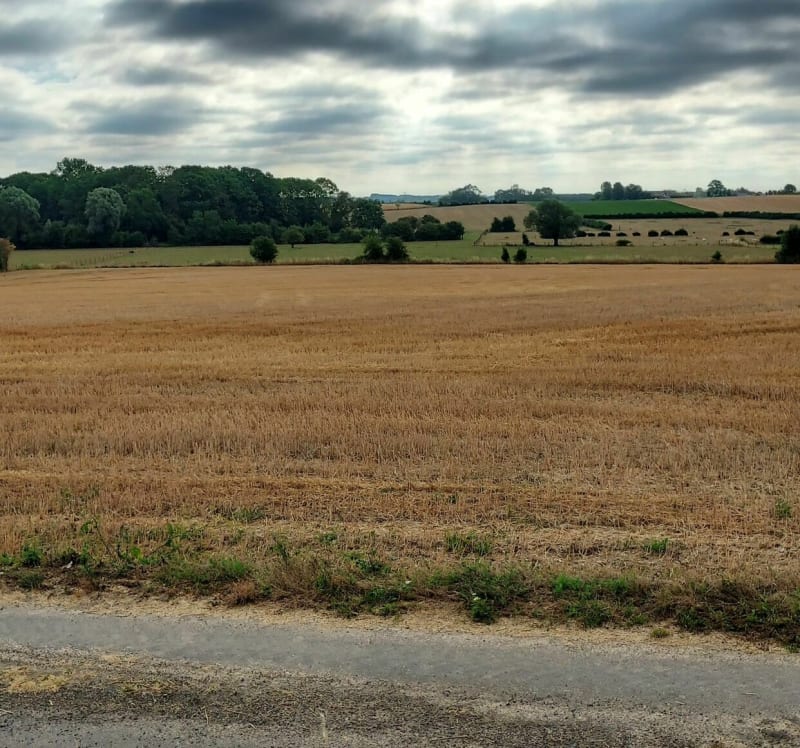 Marche autour de Curgies en passant par Sebourg et Jenlain - Curgies