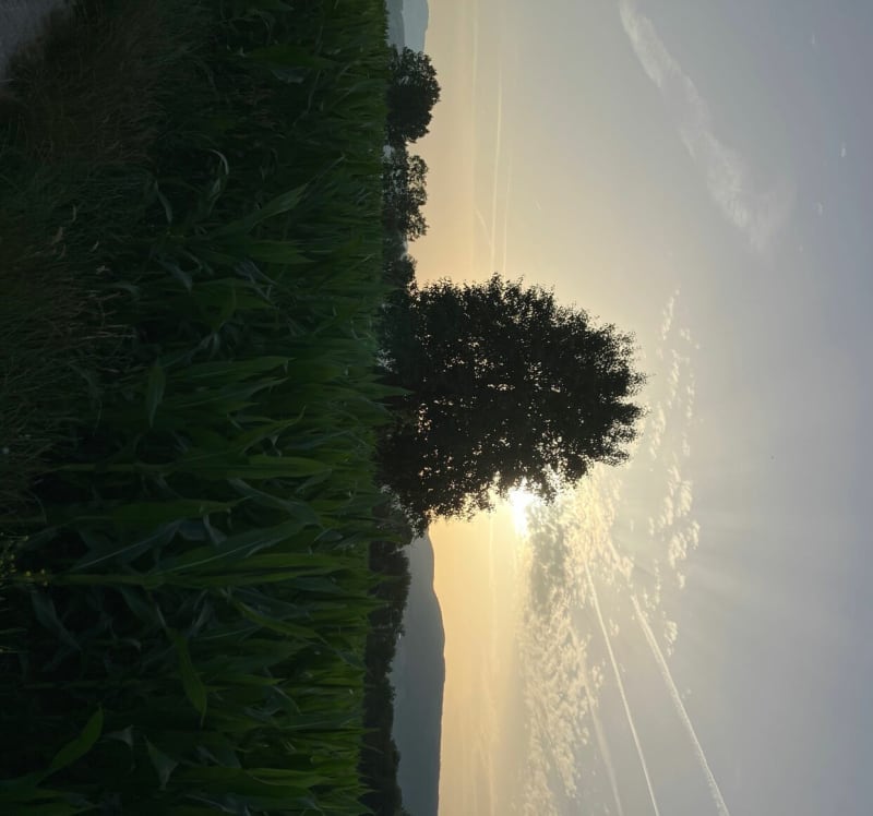 La Combe / Mésigny/ La Combe - Sillingy