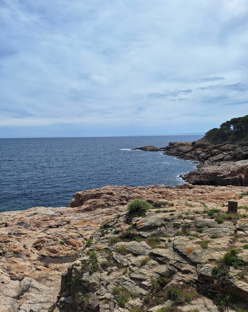 Tamariu y Punta de la Musclera - Tamariu