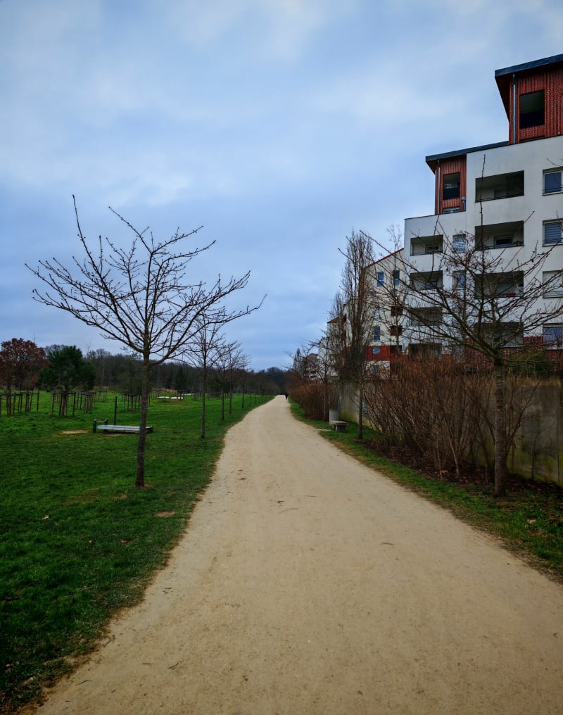 Tour du bois des 33 hectares - Neuilly-sur-Marne