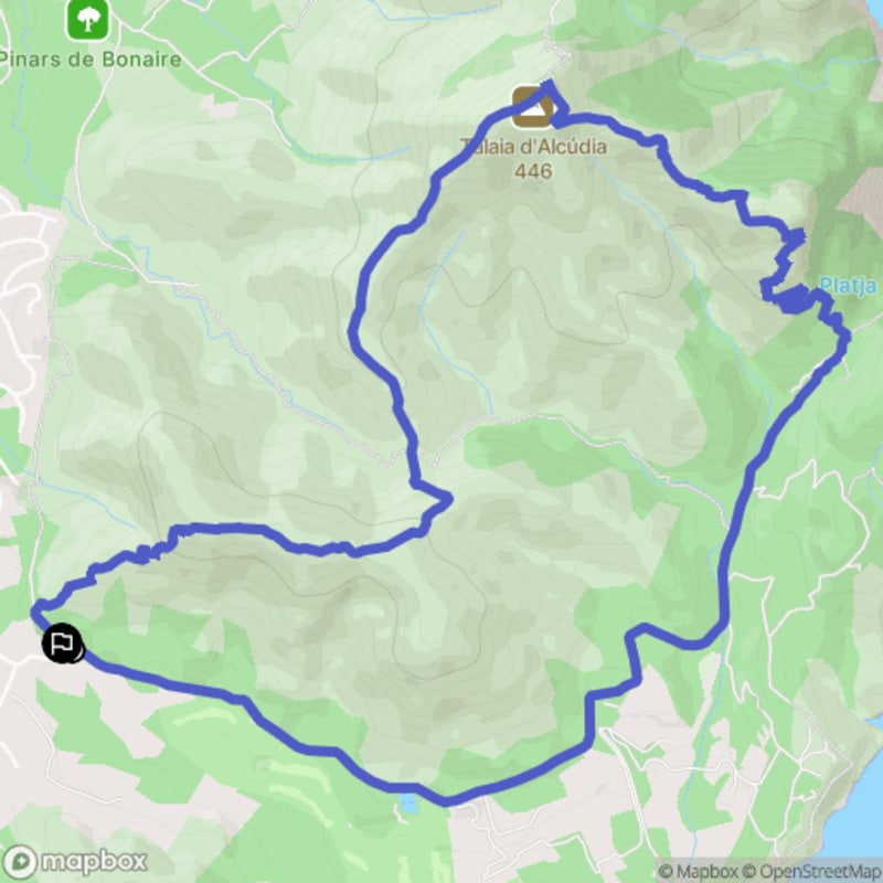 Randonnée à Alcúdia au départ d'Alcanada : Exploration des environs - Alcúdia