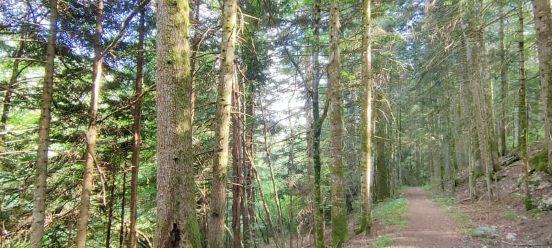 Tour du site de la Praille - Plateau d'Hauteville