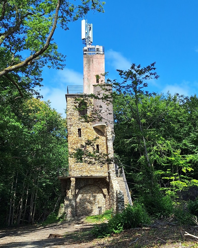 Balade en forêt au départ de Piscop - Piscop