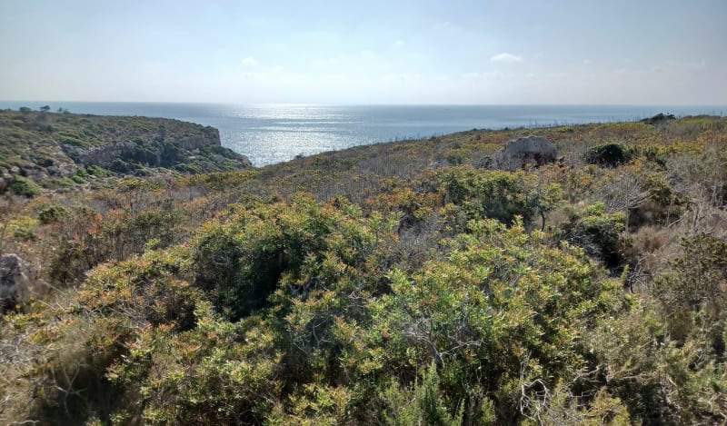 Circuit chemin pompiers, par Puig Botà - Manacor