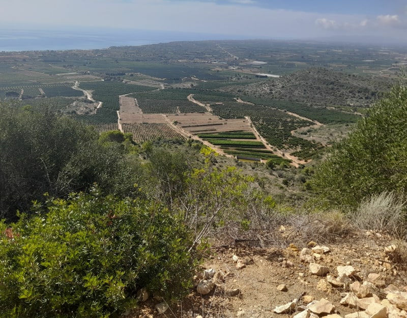 Las Cases Roca Roja y la Cova Calitra - Les Cases d'Alcanar