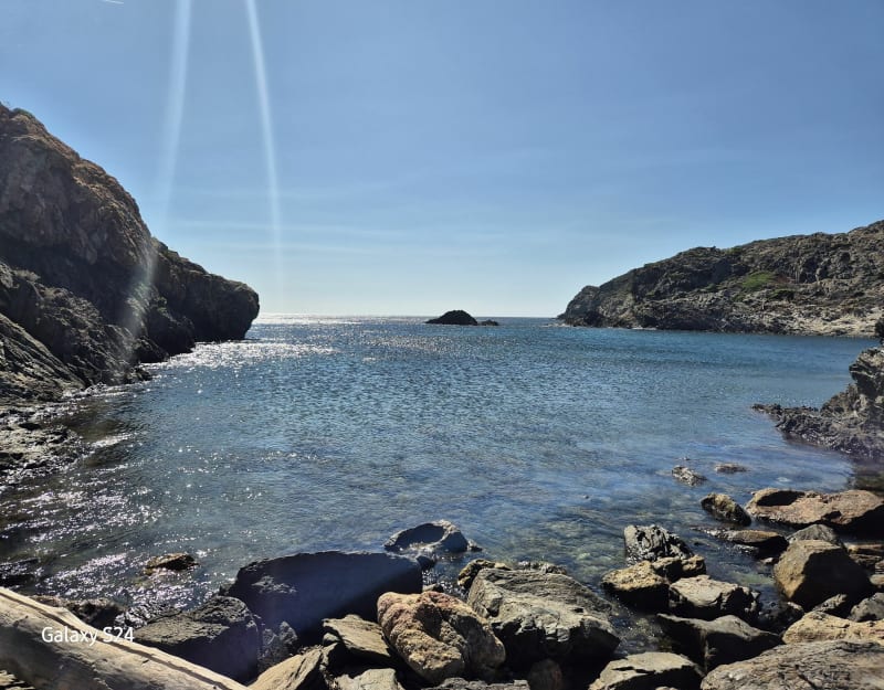 Cadaquès Cap Creus, Catalunya - Olivar